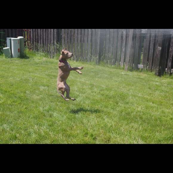 Meet your Posher, Sarah - Picture 6 of 6